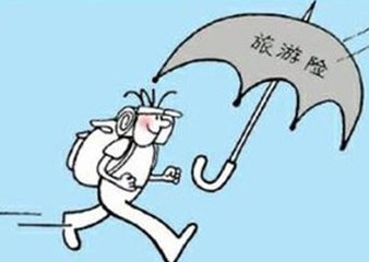 怎么购买旅游险