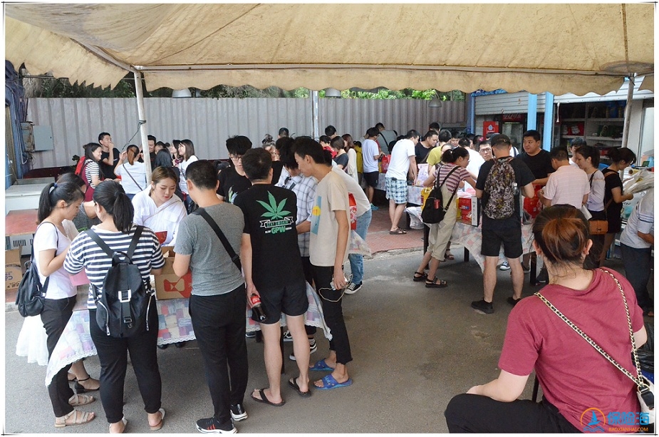 2018保险海中秋博饼：烧烤，博饼，K歌，史上最嗨！