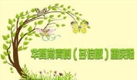 华夏常青树多倍版是坑吗?对比智慧版那个好?