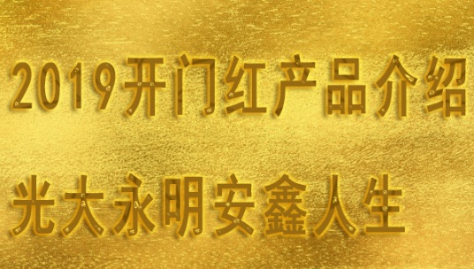 光大永明安鑫人生：怎么样+特色+责任+案例