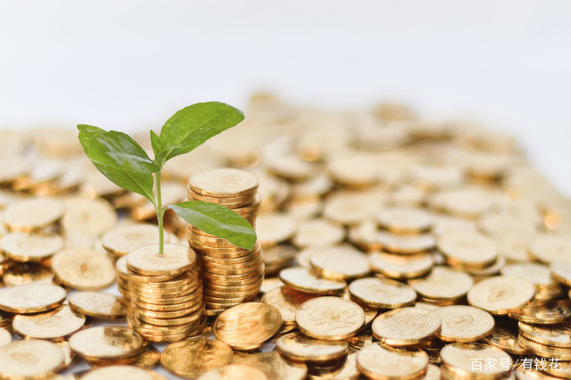 光大永明安鑫人生白金版终身年金保险保什么？什么不保？