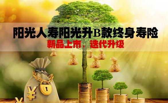 阳光人寿阳光升B款终身寿险好吗?有什么卖点?险责有哪些?