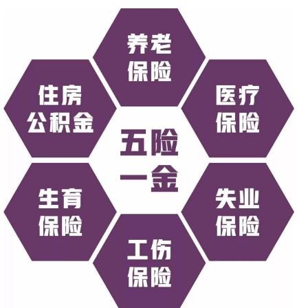 【五险一金】有哪些_多少钱一个月_缴纳比例_查询_断交怎么办