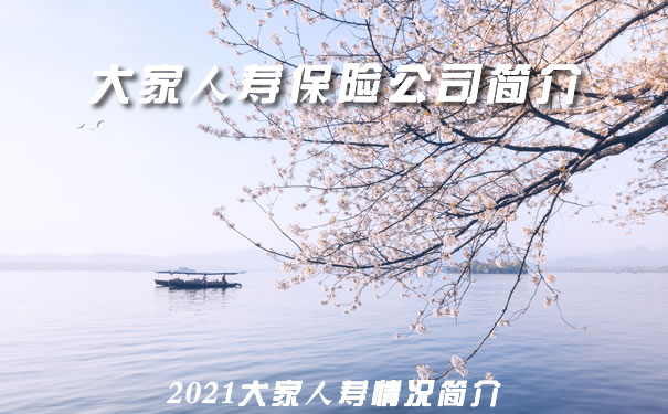 大家人寿保险公司简介 经营范围