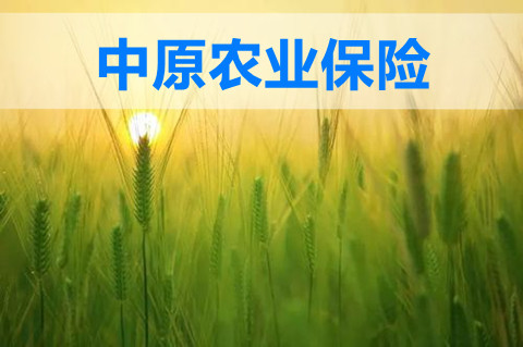 2022中原农业保险靠谱吗?中原农业保险是国企吗?