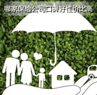 哪家保险公司口碑好性价比高?哪家保险公司性价比高?