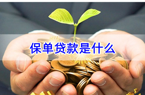 保单贷款怎么贷?保单贷款能贷多少钱?