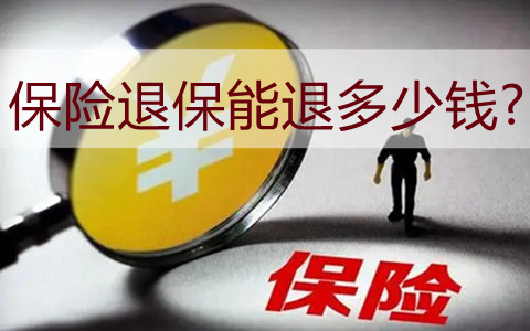 保险退保能退多少钱?保险退保怎么退?