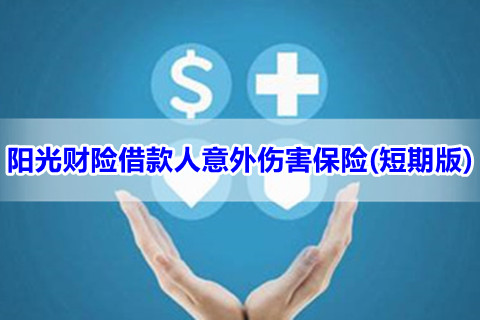 阳光财险借款人意外伤害保险(短期版)保什么?