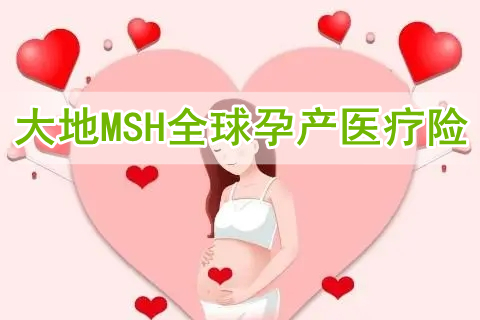 大地MSH全球孕产医疗险怎么样?有什么优势?