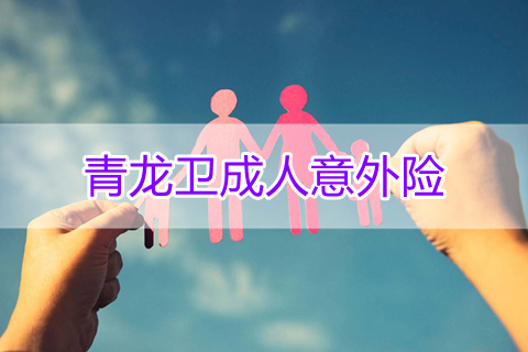 青龙卫成人意外险保障条款?值得买吗?