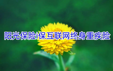 阳光保险i保互联网终身重疾险保什么?有什么特点?