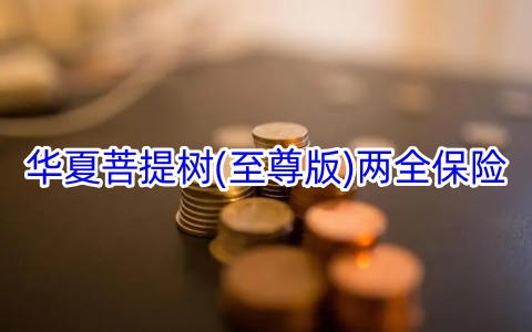 华夏菩提树(至尊版)两全保险保什么?有什么优点?