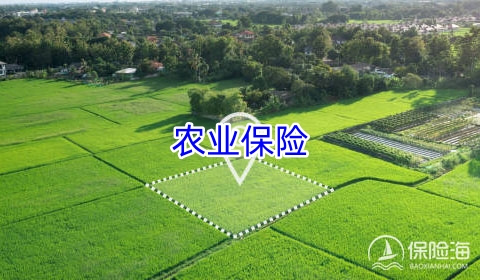 农业保险有哪些种类?农业保险的优势如何?