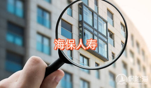 海保人寿怎么样?具有哪些产品?