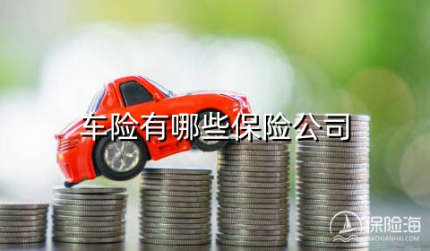 车险有哪些保险公司?哪家保险公司好?2024车险公司电话?