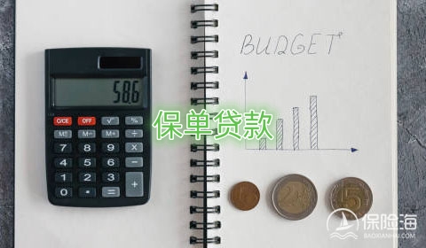 保单贷款有什么优势?如何申请保单贷款?