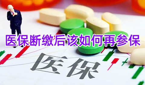 医保断缴后该如何再参保?官方回应来了
