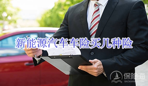 新能源汽车也要年检了_新能源汽车车险买几种险
