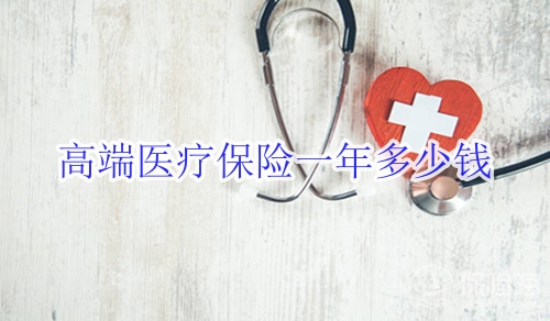 高端医疗保险一年多少钱?有必要买吗?