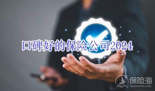 口碑好的保险公司2024，靠谱些的保险公司2024