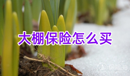 大棚保险怎么买_大棚保险收费标准_理赔标准