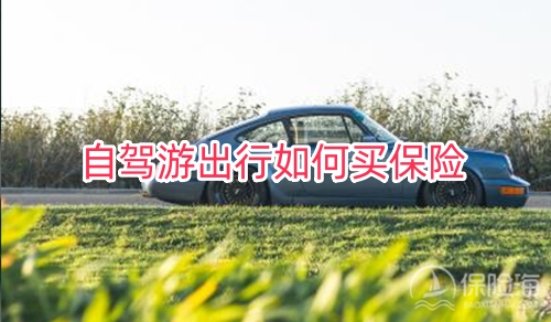 自驾游出行如何买保险?自驾游怎样买保险划算?