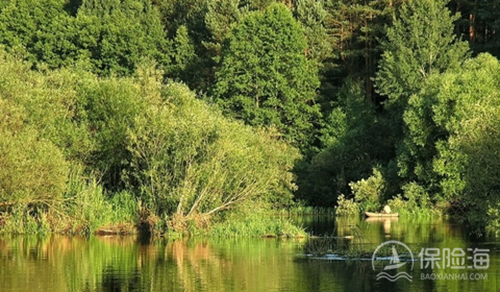 农业保险属于什么保险?怎么投保?