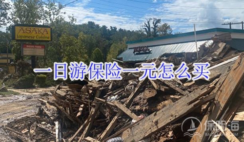 一日游保险一元怎么买?多少钱?