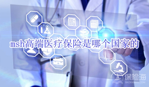 msh高端医疗保险是哪个国家的?一年多少钱?