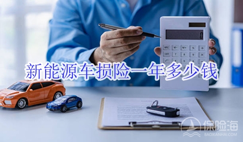 新能源车损险一年多少钱?包括哪些?