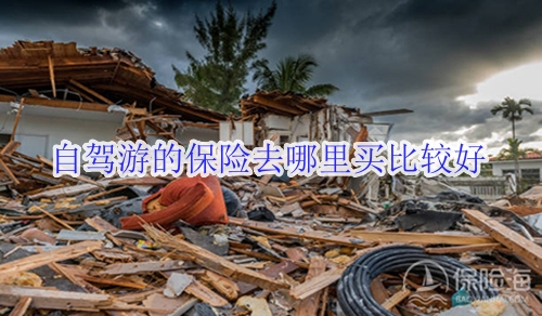 自驾游的保险去哪里买比较好?哪种保险合适?