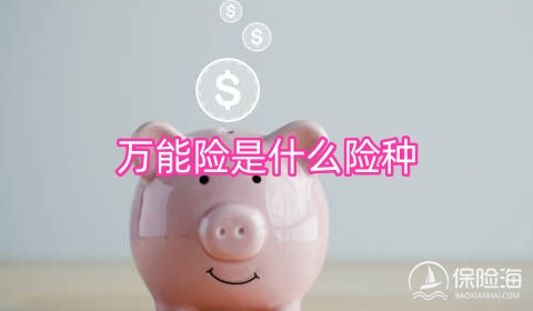 万能险是什么险种?分红险和万能险哪个好?