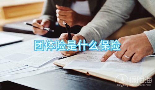 团体险是什么保险?团体一日游保险怎么买?