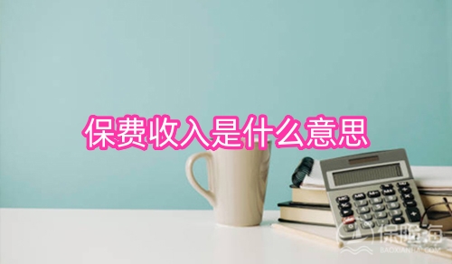 保费收入是什么意思?保费收入怎么计算?
