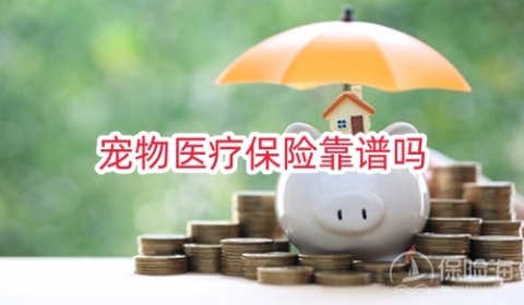 宠物医疗保险靠谱吗?宠物医疗保险如何购买?
