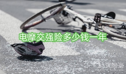电摩交强险多少钱一年?怎么买?